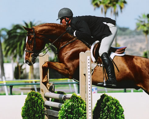 Horse Trainer Brookway Stables